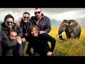 Elefante - Así es la vida (En vivo en el auditorio nacional)