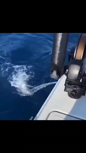 393K views · 1.3K reactions | Transom failure @dmsinthekeys #boating #saltlife #suzuki #outboards #sinking #boats #offshore #fishing | Boaters List TV | Facebook