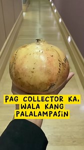 109 reactions · 52 comments | Paano makakaipon ng rare fruit tree, siyempre, makicollect sa mga batikang collector. At huwag palampasing bumili pag may nakitang kakaiba. #pomegranate | Elvie Cabansag | Facebook