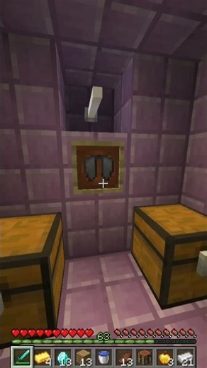 You won't believe what i found😱 #Minecraft #Netherite #EndShip #MinecraftSword #EpicLoot #MCYT