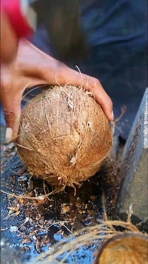 Wow how to open a coconut