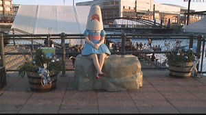 Shark Girl: The four-year rise of a viral icon