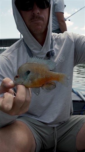 FIRST CRANK and a fish sniff! What more could you need? @lakeforkguy and @grant_langmore7 using some AGILITY to sneak up on these fish! | Googan Squad