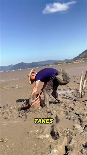 How Chinese Fishermen Catch Mudskippers in the Mud! 😱🐟 #facts #interestingfacts