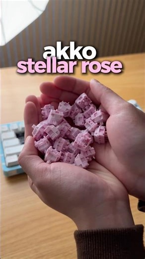Akko Stellar Rose sound test #keyboard #shorts