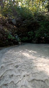 185K views · 2.6K reactions | The first time I visited this spring I found a sharks tooth | Florida Panhandle Springs and Fossils | Facebook