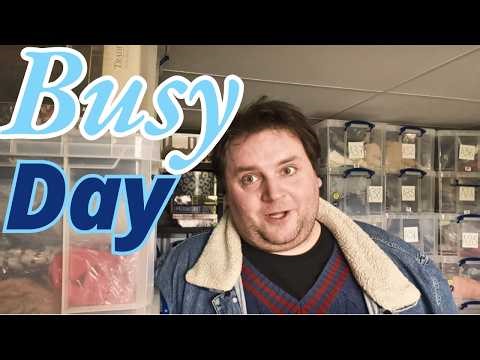 My day as a productive Reseller