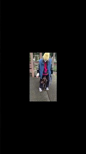 What It Means to Train Your Own Service Dog