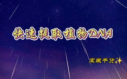 植物DNA快速提取