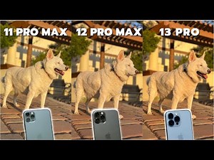 iPhone 13 Pro vs iPhone 12 Pro Max vs iPhone 11 Pro Max Camera Comparison