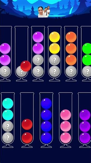 Ball sort special level 250