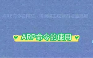 arp命令的使用