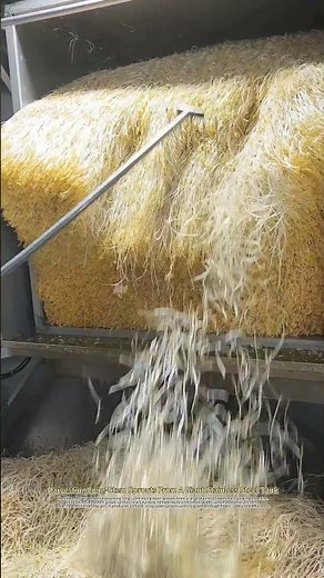 This Is How They Make Those Extra-Long, Crisp Mung Bean Sprouts
