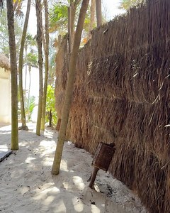 11K views · 27 reactions | Rocsi Diaz on Reels | Facebook