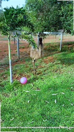 1.9K views · 25 reactions | Laughs Guaranteed With Every Move  | The Shark Puppet | Facebook