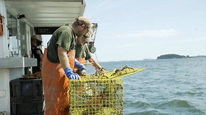 133K views · 344 reactions | Join Shaking Crab Co-Founder, Kevin as he learns the ins and outs of lobstering from Captain Fred. | WCVB Channel 5 Boston | Facebook