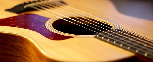 Taylor vs Takamine Acoustic Guitars: Which are Best for You? - Pro Sound HQ
