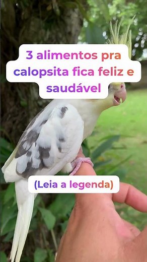LEIA A LEGENDA ⤵️