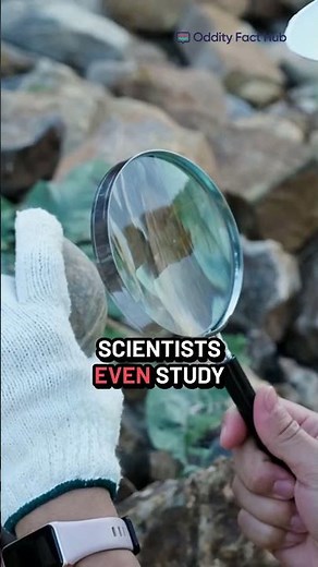 🪨 The Floating Rock: What Makes Pumice So Light?
