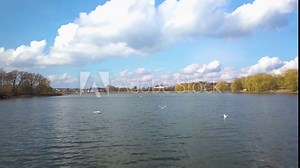 Flock of birds taking of from the lake follow view. Aerial 4k video from drone. Sunny day and fluffy clouds in the sky in spring. Following the flying bird.