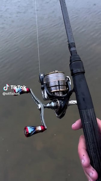 few landbased fush as of recent #trout #fishing #winter #lakes #victoria #melbourne #fyp