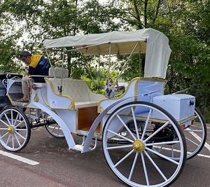 [Hot Item] China Factory Victorian Horse Carriage Sightseeing Pony-Horse Horse Cart