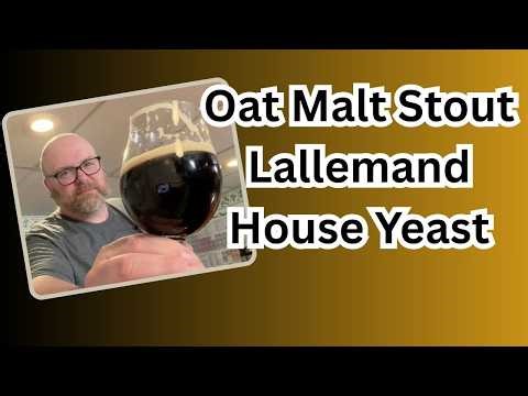 Brewing an Oat Malt Stout with Lallemand House Yeast!
