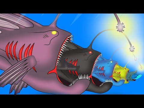 Fish Eat Fish Size Comparison - Ending Angler Fish Eat Angler Fish