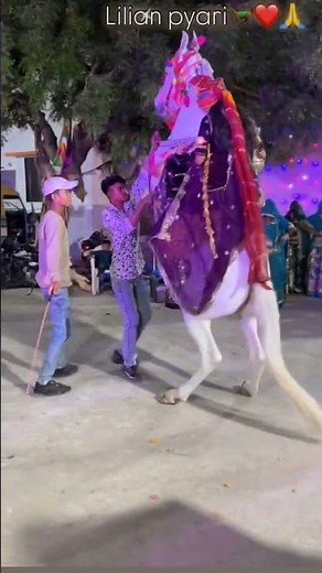 #dj #song #funny #love #dance #marwadi #rajasthani #rajasthaniclture #rajasthanichhora #10k