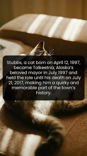 How Stubbs the Cat Became a Real Political Legend in Alaska