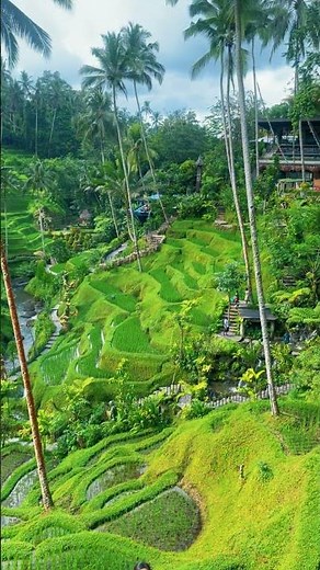 Hidden Paradise in Ubud Bali 🌿