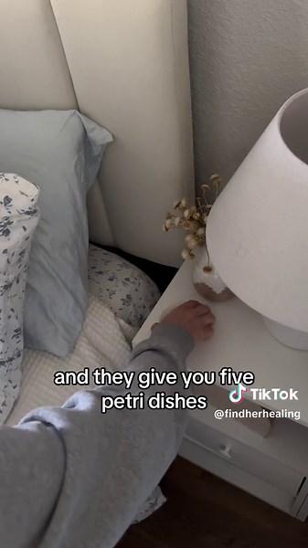 Identifying Mold with At-Home Test Kits | Mold Symptoms & More