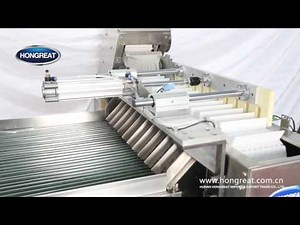 HONGREAT Raw Material blood tube sorting and automatic boxing machine