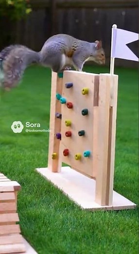 Ninja Squirrel Masters Miniature Obstacle Course Challenge! #animalchallenge #tinycourse