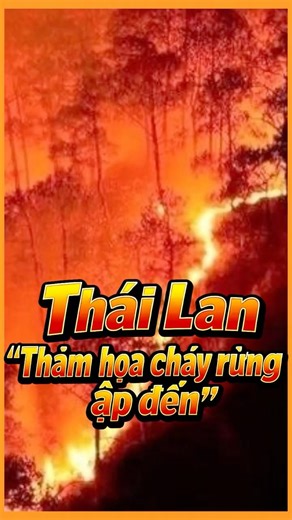 Thái Lan Cháy Rừng Thành Thảm Hoạ Ban Bố Tình Trạng Khẩn