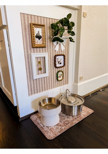 The Perfect Little Dog Corner Ideas