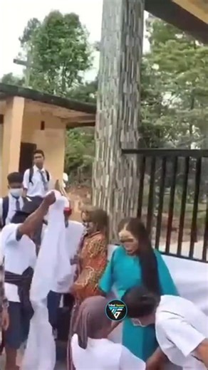 strangest ritual in Indonesian tribe | #shorts #trending #indonesia #ytshorts #viralreels #wildlife