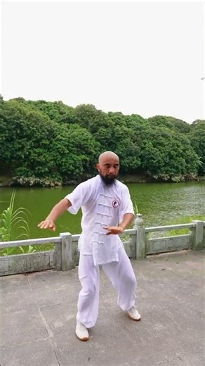 Chen-style Taijiquan #kungfu #taichi #magic #dance #taichiclass #martialarts #traditionaltaichi
