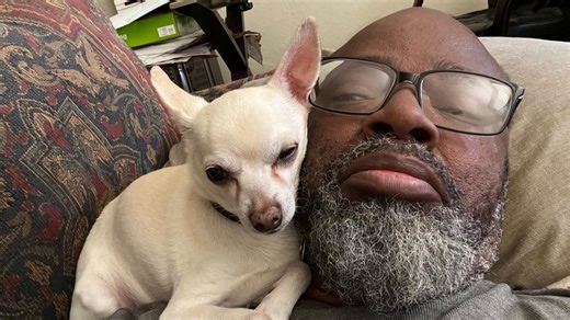 ‘It was frustrating’ | Grand Rapids confirms Burton Woods structure that crushed dog was installed by Parks Department
