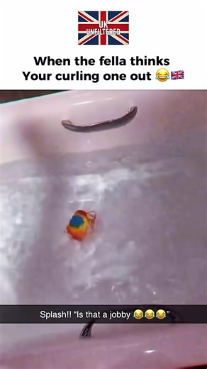 Curling One Out: A Humorous British Perspective