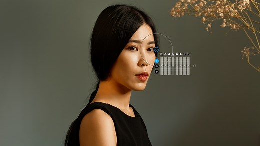 DxO 独自の U Point™ テクノロジーによる部分調整 - DxO