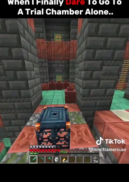 Minecraft Dimension & Meme Compilation