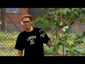 NOOMA Trees | 003 Rob Bell