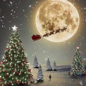 368K views · 10K reactions | Goodbye Santa...see you again next year! 虜 | Era&Lili's Garden | Facebook