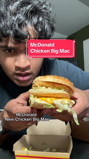 McDonald’s Chicken Big Mac Taste Test and Review