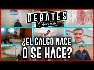EL DEBATE DE LOS GALGUEROS❗ ¿El Galgo NACE o se HACE?