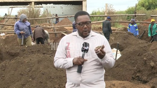 [WATCH] The gold rush in the Gugulethu informal settlement in Springs has drawn hundreds of hopefuls to the area. #Newzroom405's Scara Mafokoane speaks to some residents who have been digging for days in search of the precious metal. | Newzroom Afrika