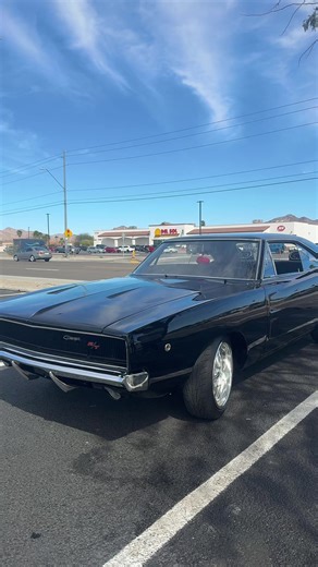 Midnight at the Oasis: Yuma Arizona Experience