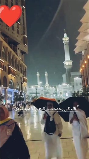 Kisi Ke Tanz Se Hum Pareshan Nahi Hote ❤️ | Powerful Naat | Faith Over Opinions