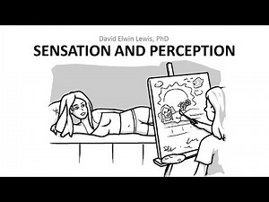 6.1 Sensation and Perception